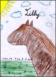 Lilly the Horse